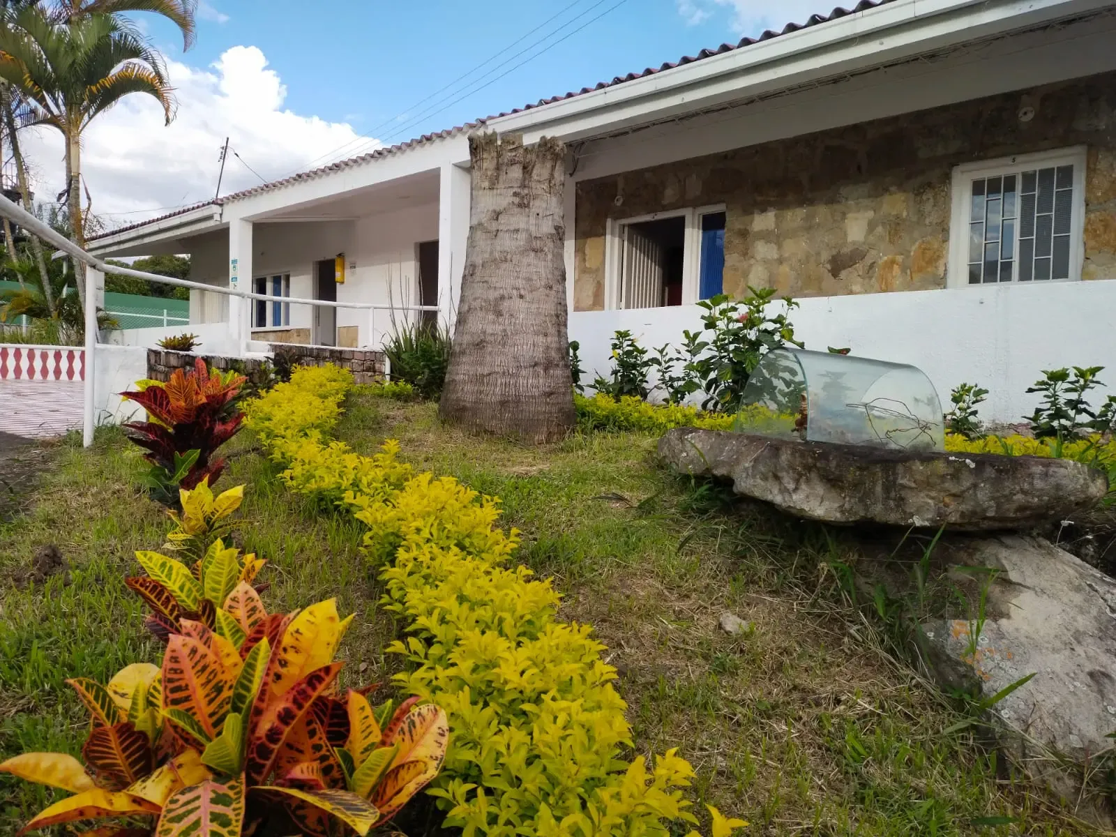Foto de Hogar Geriátrico Campestre Mis Canas Felices