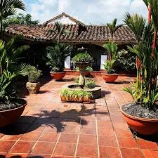Foto de Seniors Cali